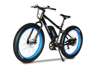 Emojo Wildcat Electric Bike